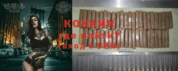 индика Михайловск