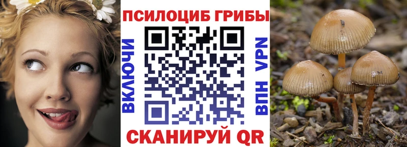 Купить закладки  Шахты  Галлюциногенные грибы прущие грибы 