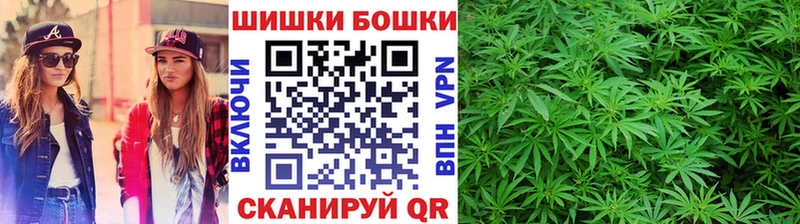 Купить где  Шахты  Бошки марихуана SATIVA & INDICA 
